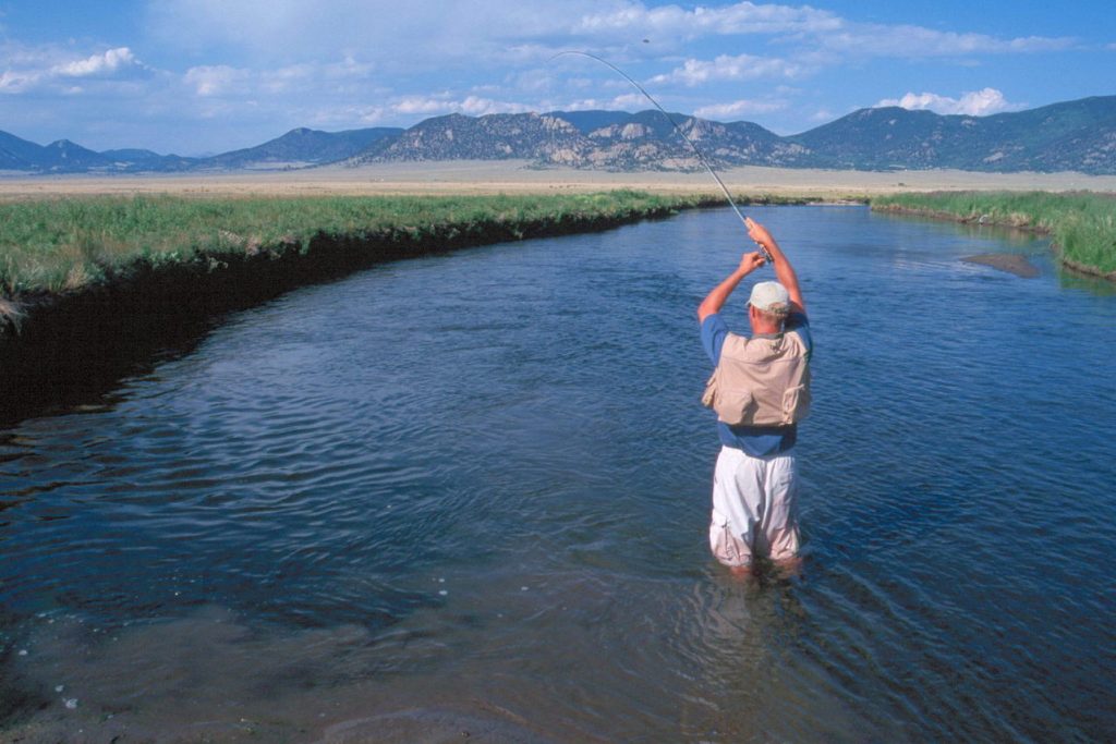 l'écologie et la peche