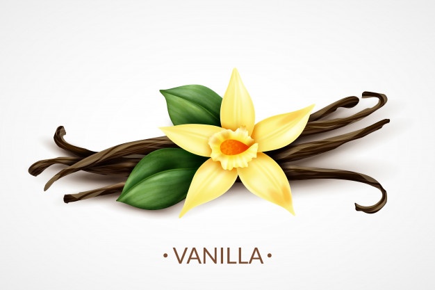 5 bienfaits pour la santé de la vanille naturelle